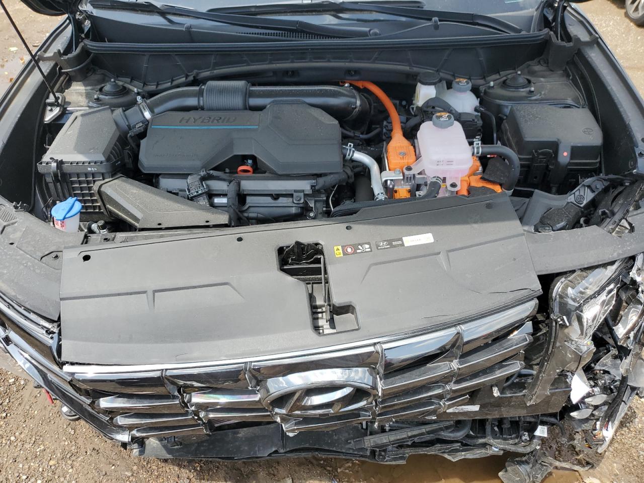 KM8JECD19RU179876 2024 Hyundai Tucson Limited