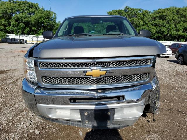 2013 Chevrolet Silverado C1500 VIN: 1GCNCPEX8DZ199067 Lot: 52706074