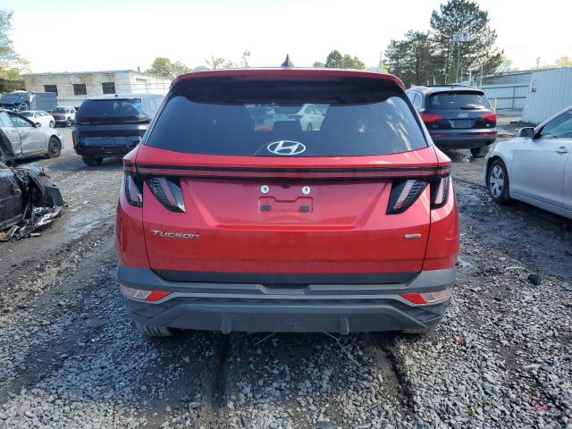 2023 Hyundai Tucson Sel VIN: 5NMJBCAE7PH233331 Lot: 53334994