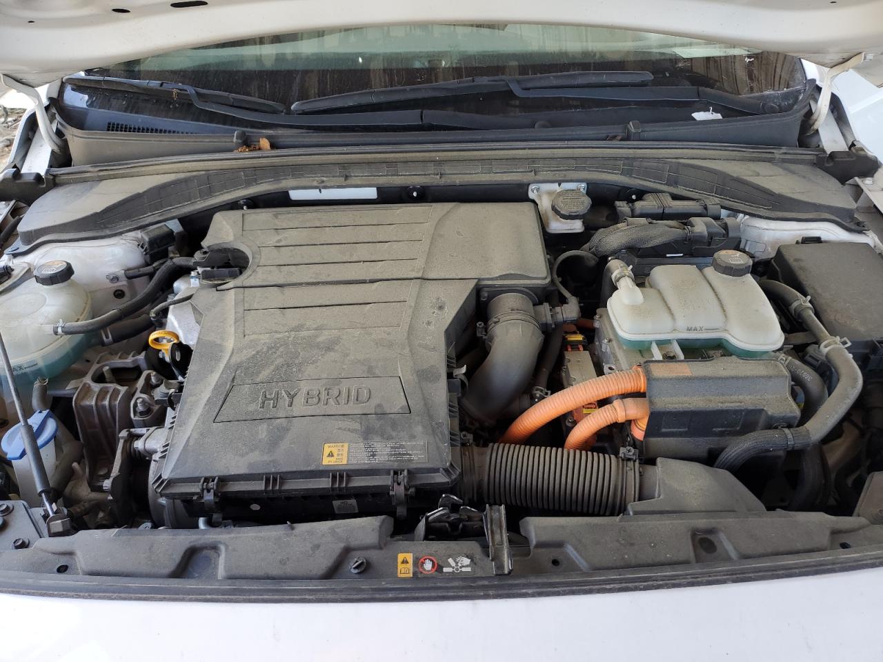 KMHC65LC6HU031056 2017 Hyundai Ioniq Blue