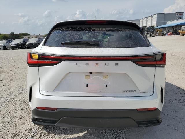 2023 LEXUS NX 250 JTJGDCAZ3P5012736