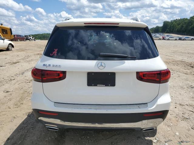 2020 Mercedes-Benz Glb 250 VIN: W1N4M4GB5LW024647 Lot: 55115734