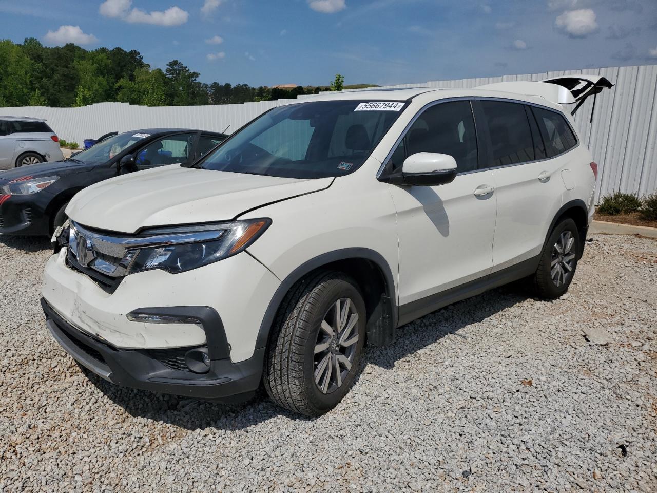 5FNYF5H41KB017240 HONDA PILOT 2019