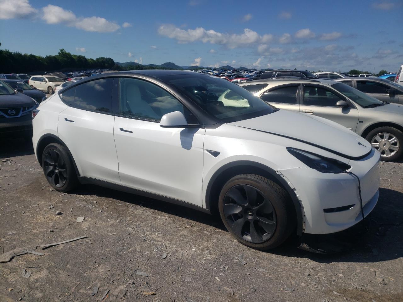 7SAYGDEE6PF630341 2023 Tesla Model Y