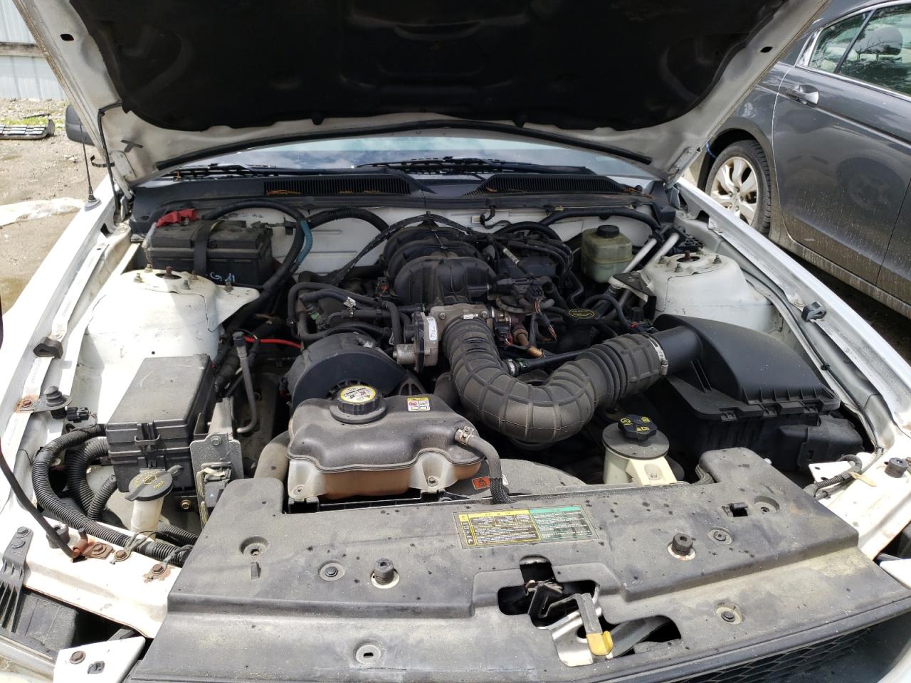 1ZVFT80N255232439 2005 Ford Mustang