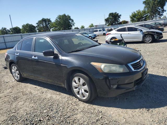 2008 Honda Accord Exl VIN: 1HGCP36828A025562 Lot: 53878934