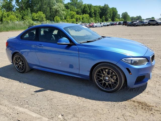 2016 BMW 228 Xi Sulev VIN: WBA1G9C50GV599679 Lot: 57418494