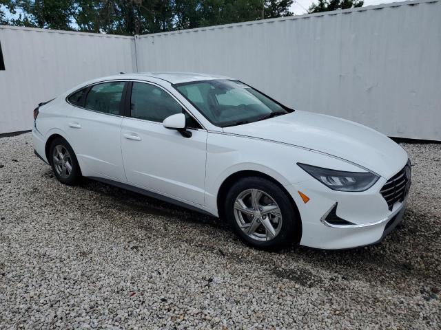 2021 Hyundai Sonata Se VIN: 5NPEG4JA1MH116333 Lot: 56895384