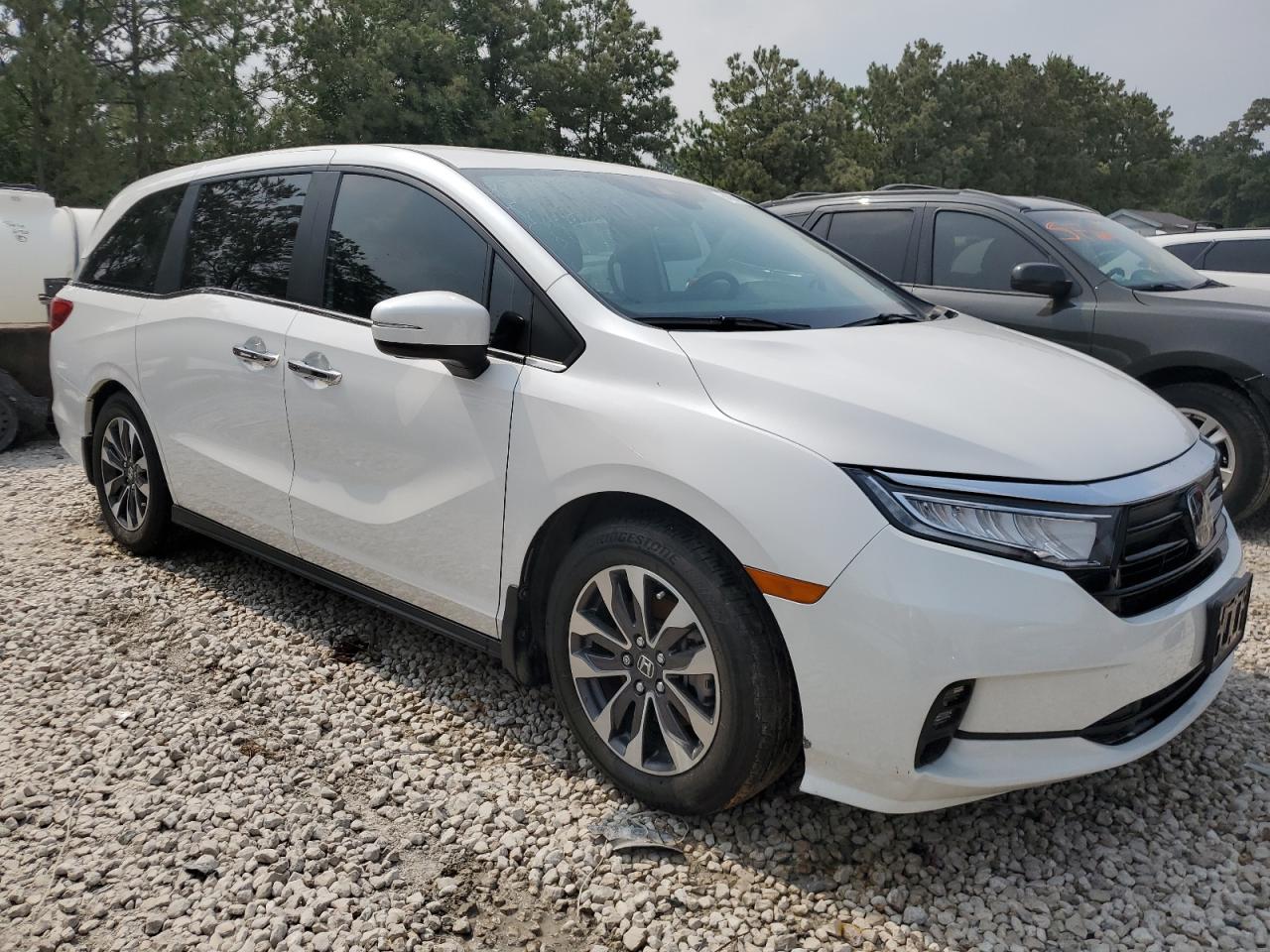 5FNRL6H65PB074052 HONDA All Models 2023