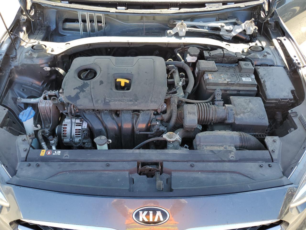 3KPF54AD8KE021466 2019 Kia Forte Ex