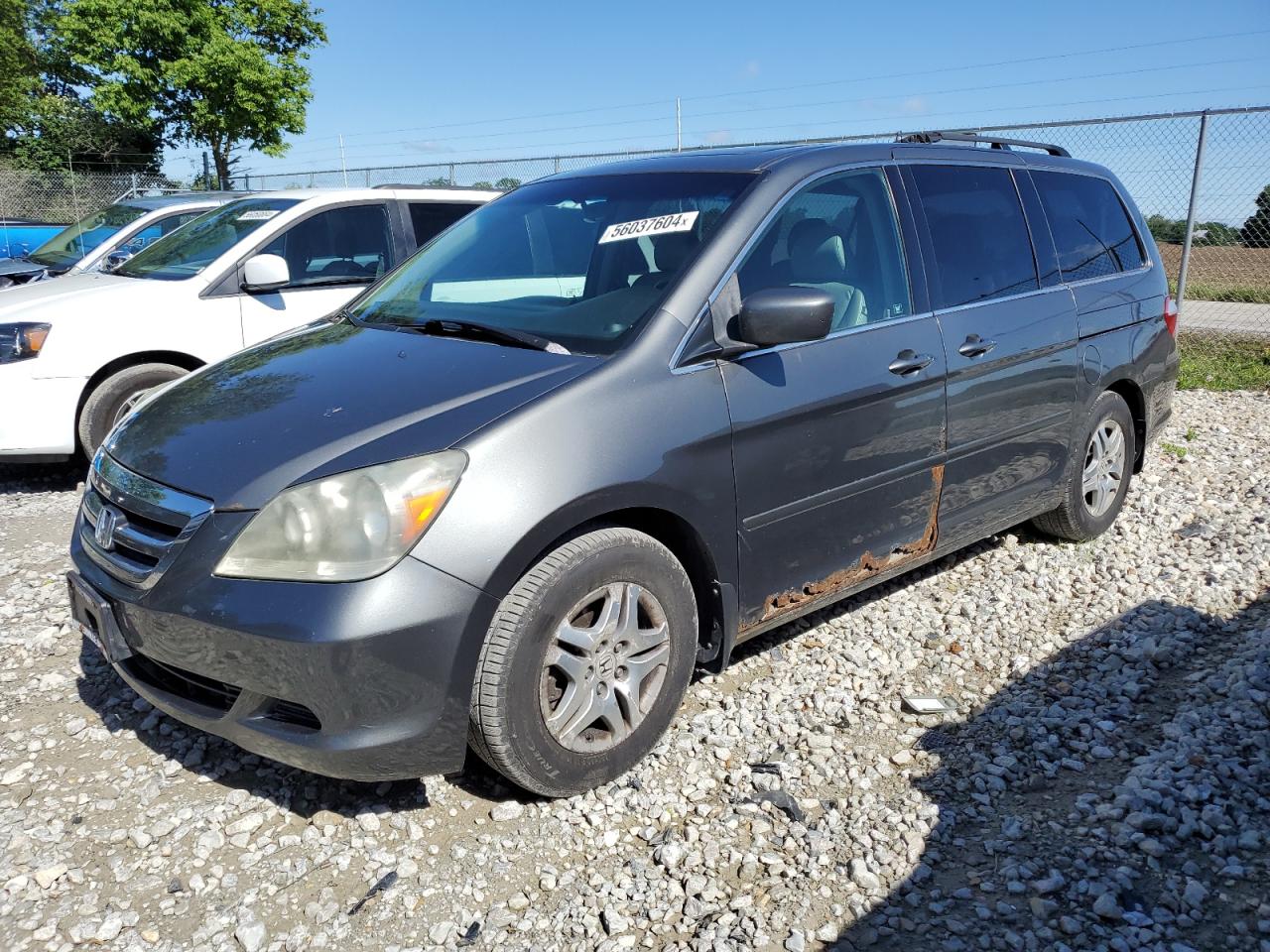 5FNRL387X7B461722 2007 Honda Odyssey Exl