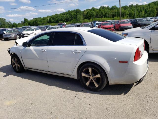 2011 Chevrolet Malibu 1Lt VIN: 1G1ZC5E19BF260242 Lot: 53090594