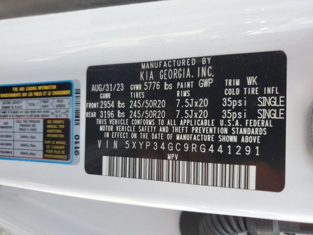 2024 Kia Telluride Ex VIN: 5XYP34GC9RG441291 Lot: 54010534