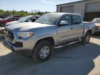 TOYOTA TACOMA DOU photo