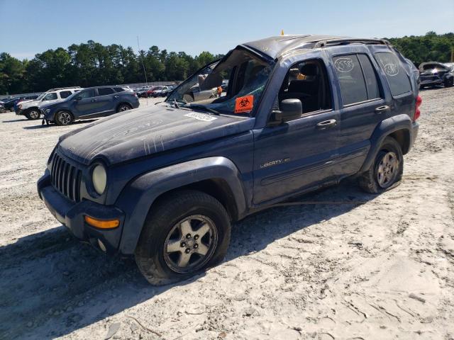 2002 Jeep Liberty Limited VIN: 1J4GK58K42W158203 Lot: 56834574