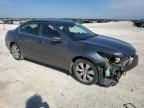 HONDA ACCORD EXL photo