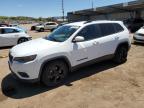 2020 JEEP CHEROKEE L - 1C4PJLLB0LD629345