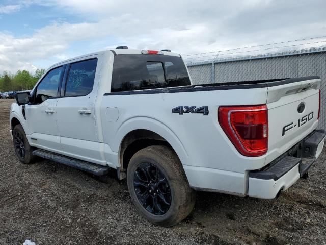 2023 Ford F150 Supercrew VIN: 1FTFW1ED8PFC69302 Lot: 53729404