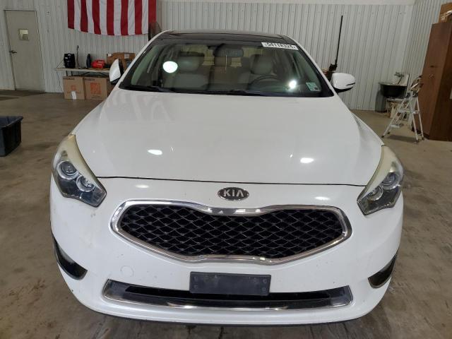 2014 Kia Cadenza Premium VIN: KNALN4D76E5138520 Lot: 54118324