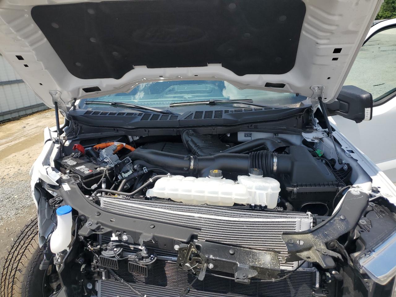 1FTFW1ED1PFC85647 FORD F-150 2023
