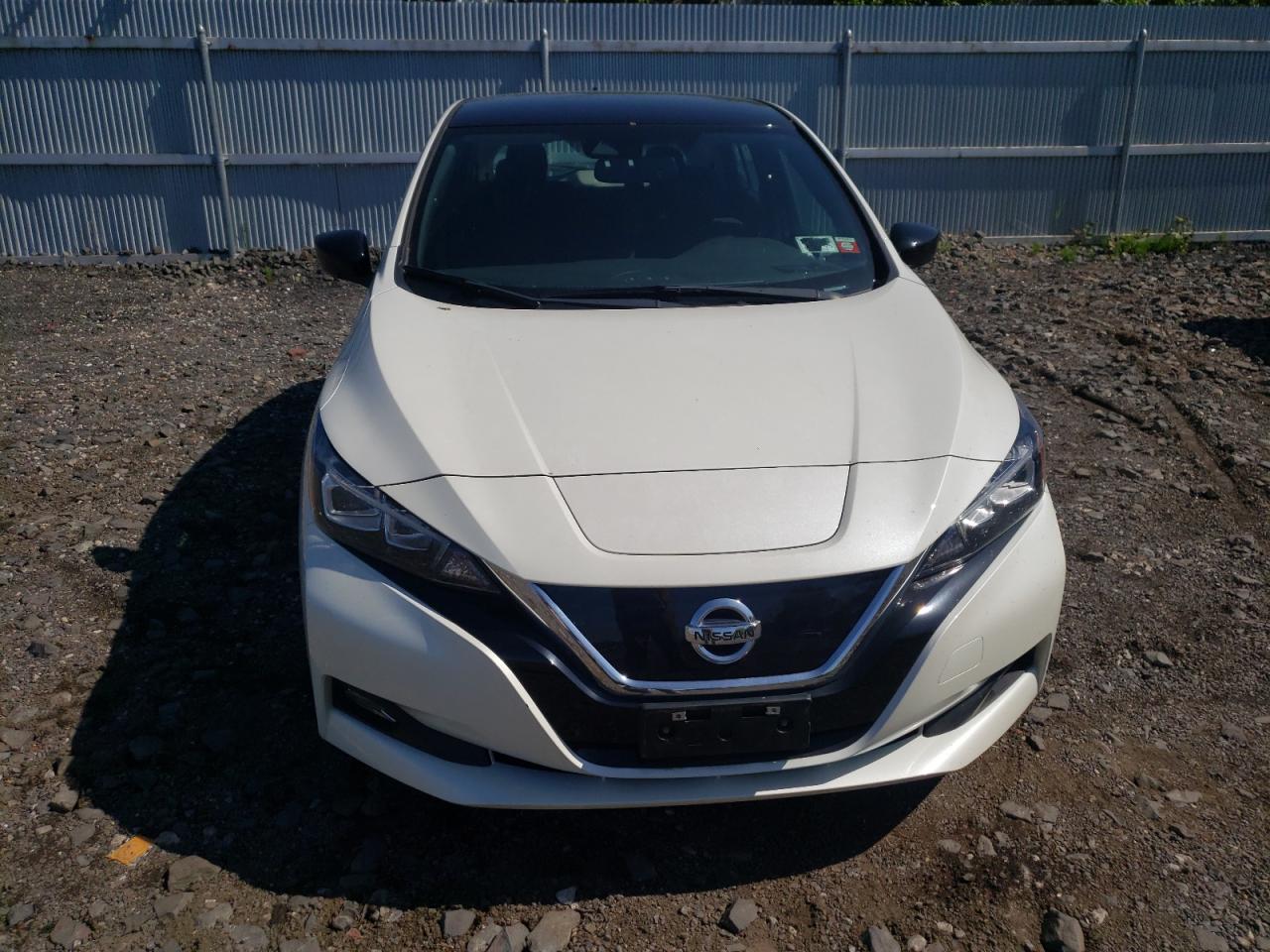1N4AZ1CP9KC304539 NISSAN LEAF 2019