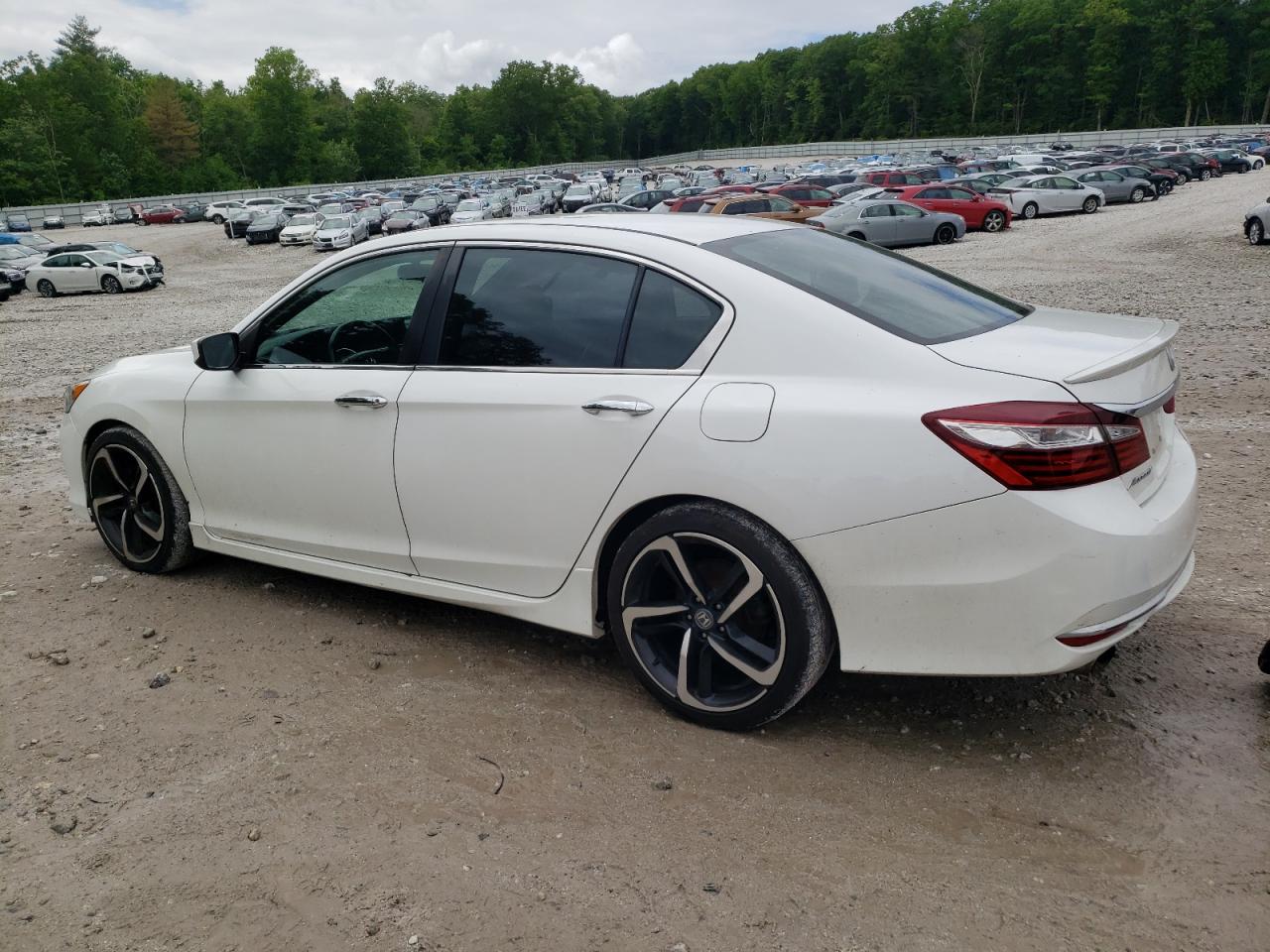 Lot #2979436722 2016 HONDA ACCORD SPO