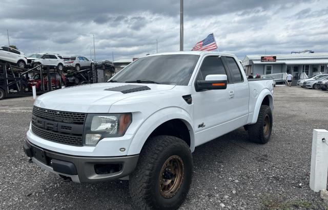 2011 Ford F150 Svt Raptor VIN: 1FTEX1R62BFA60330 Lot: 55041794