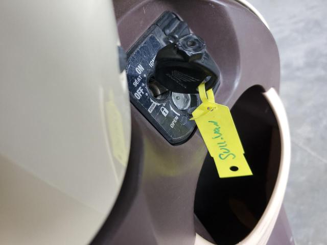2019 HONDA NCW50 JH2AF771XKK301920