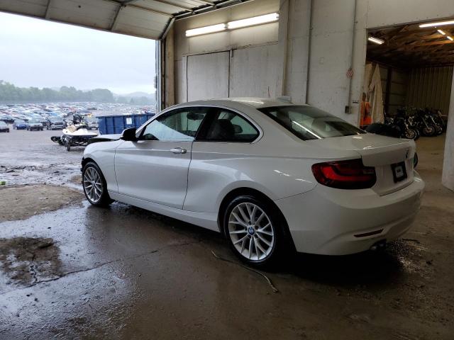 2015 BMW 228 I VIN: WBA1F5C56FV257275 Lot: 53986504