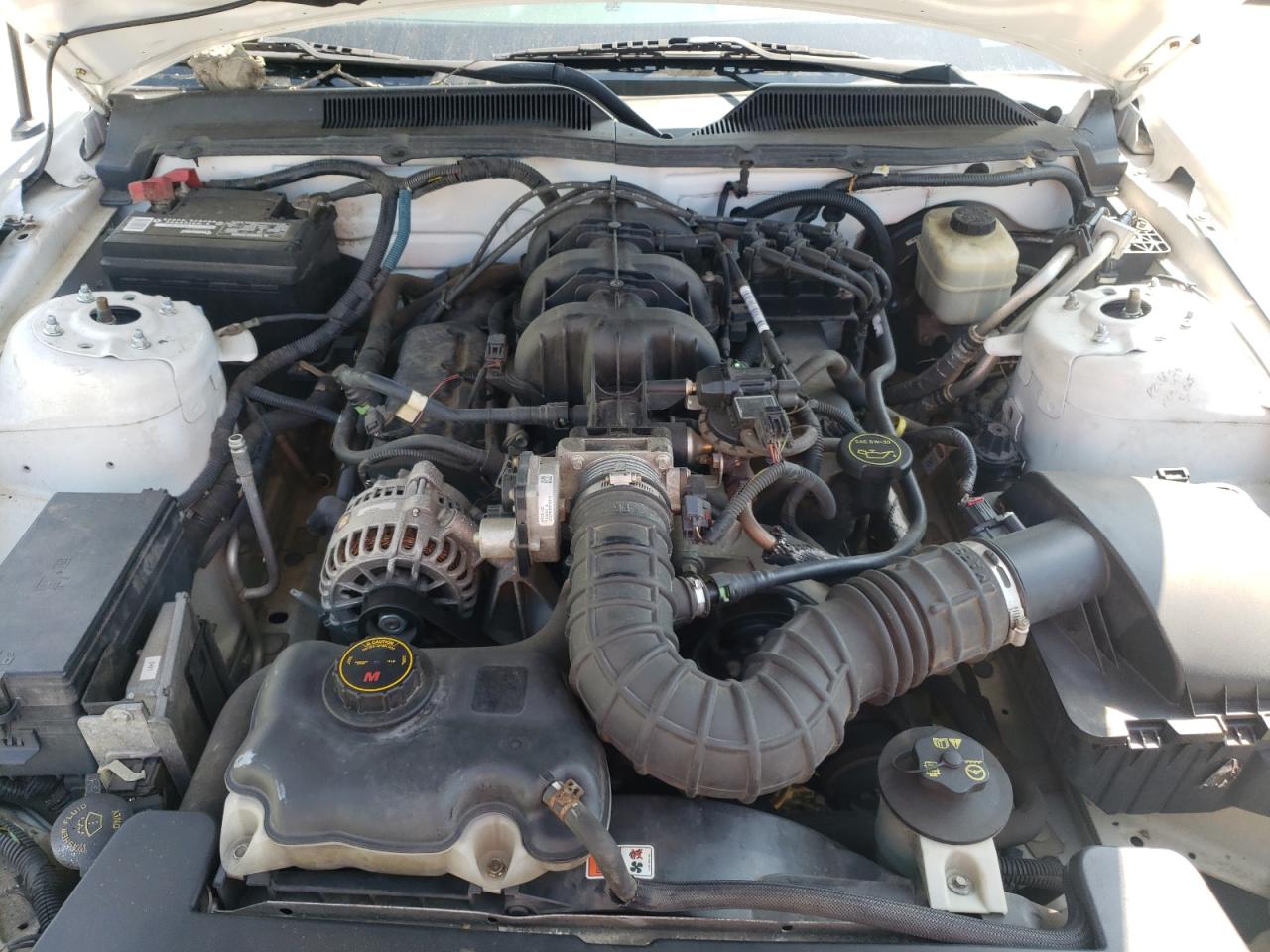 1ZVHT80NX85175579 2008 Ford Mustang