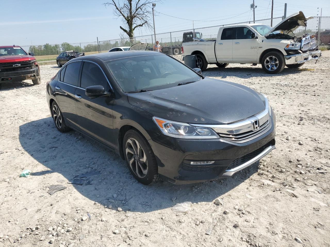 1HGCR2F76GA081918 2016 Honda Accord Ex