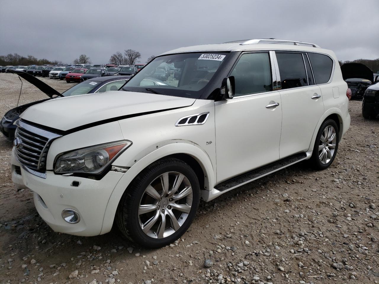 Lot #2972618901 2014 INFINITI QX80