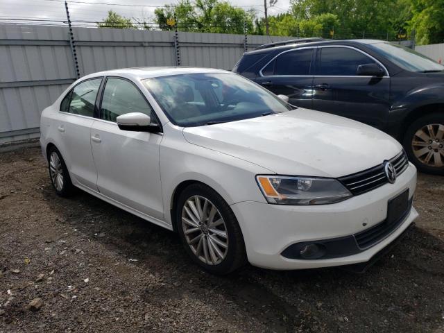 2013 Volkswagen Jetta Tdi VIN: 3VWLL7AJ2DM442041 Lot: 55327314