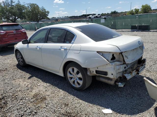 2008 Honda Accord Exl VIN: 1HGCP36898A005972 Lot: 53219694