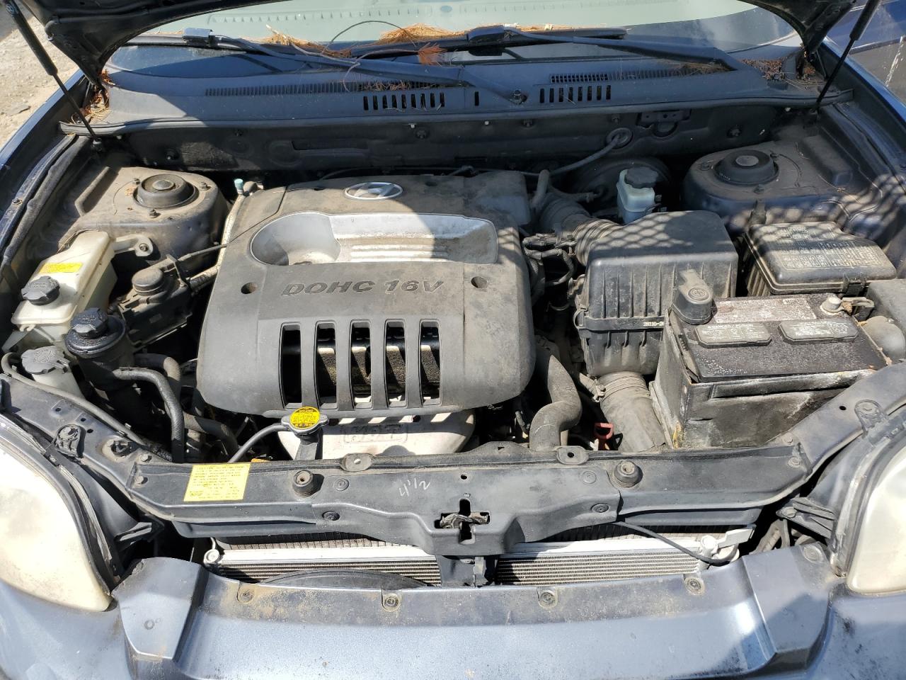 KM8SB12B74U577433 2004 Hyundai Santa Fe Gl