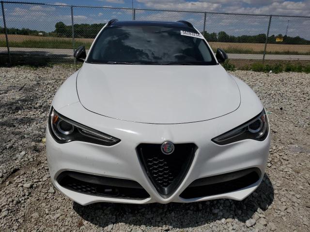 2019 Alfa Romeo Stelvio VIN: ZASPAJANXK7C71175 Lot: 56283234