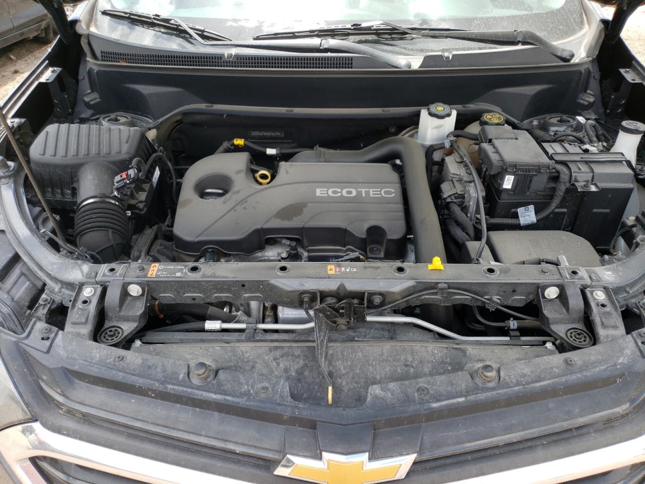 2GNAXKEV0K6156749 2019 Chevrolet Equinox Lt