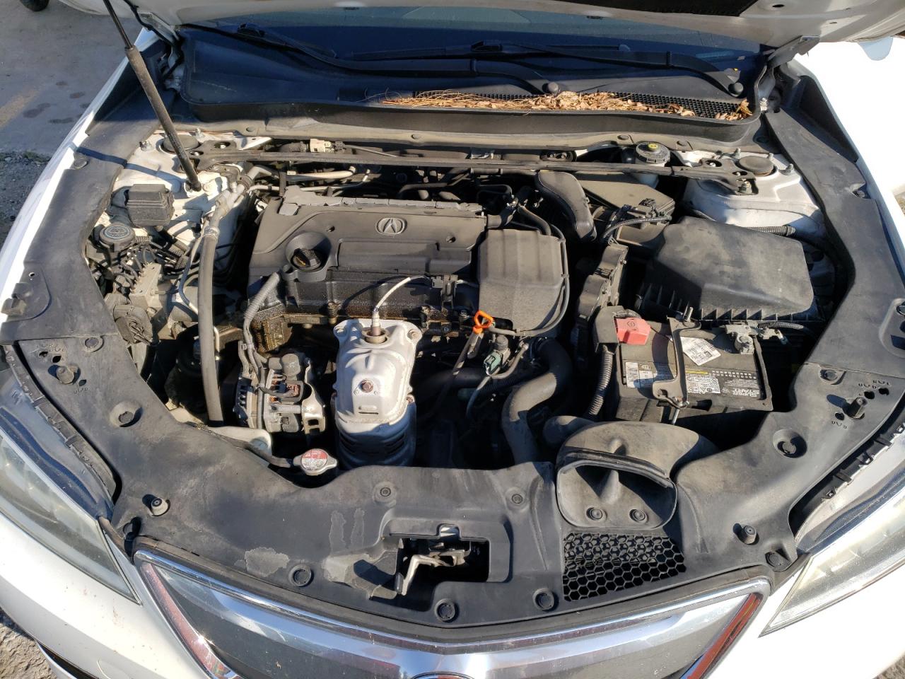 19UUB1F33FA005250 2015 Acura Tlx