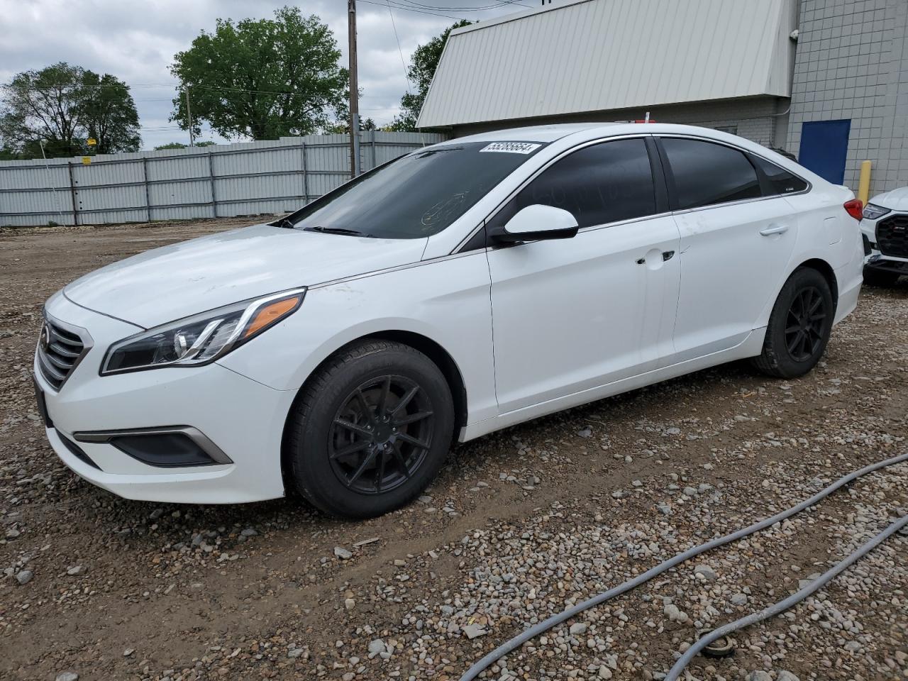 5NPE24AF5GH300351 2016 Hyundai Sonata Se