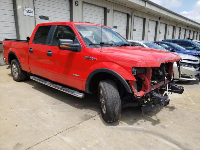 2013 FORD F150 SUPER - 1FTFW1CTXDFD47195