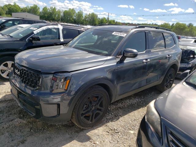 2024 Kia Telluride Ex VIN: 5XYP3DGC0RG458593 Lot: 55343424