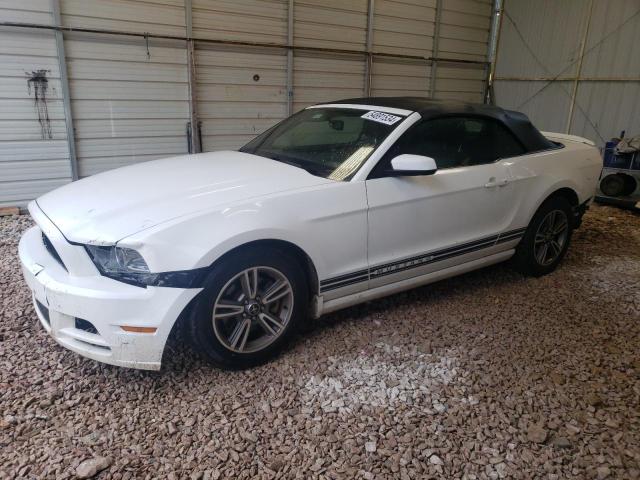 2013 Ford Mustang VIN: 1ZVBP8EM0D5233770 Lot: 54891534