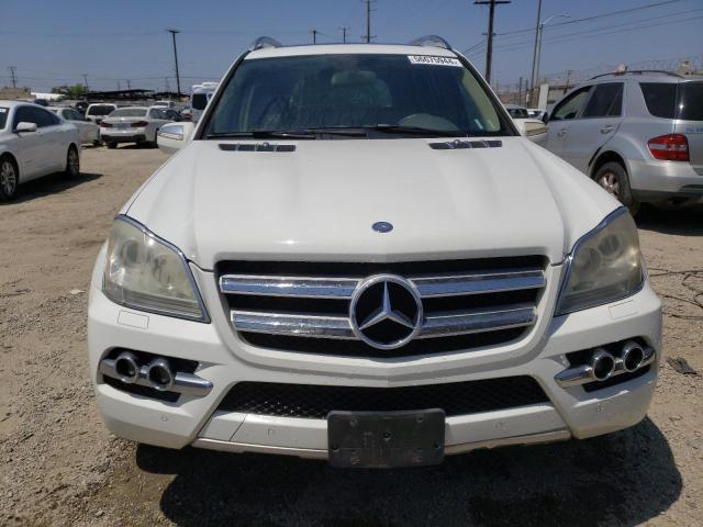 2010 Mercedes-Benz Gl 450 4Matic VIN: 4JGBF7BE2AA539865 Lot: 56675944