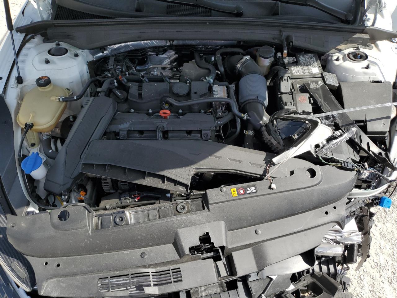 5XXG14J24RG239534 2024 Kia K5 Lxs