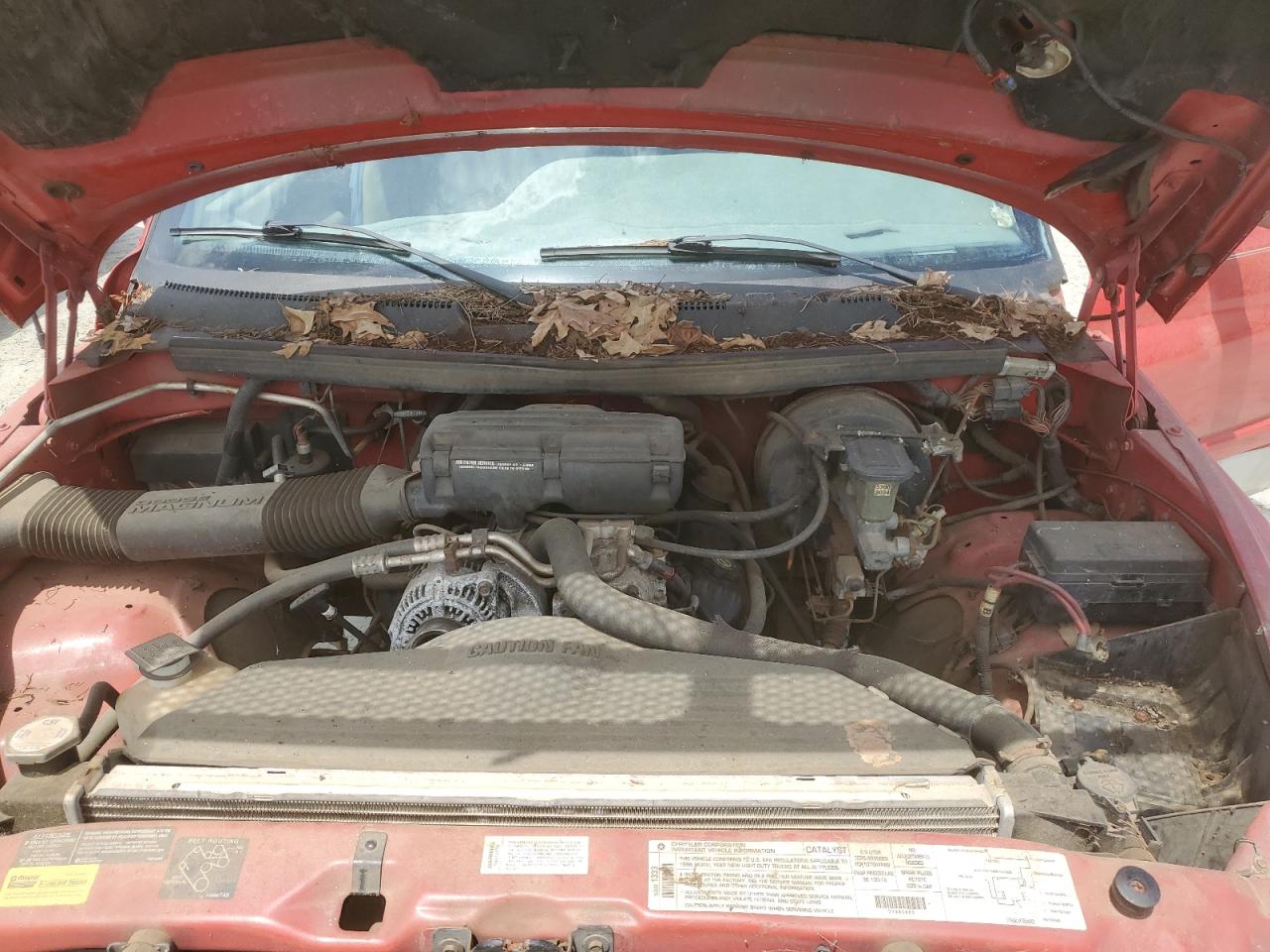 3B7HC13Z1TG104202 1996 Dodge Ram 1500