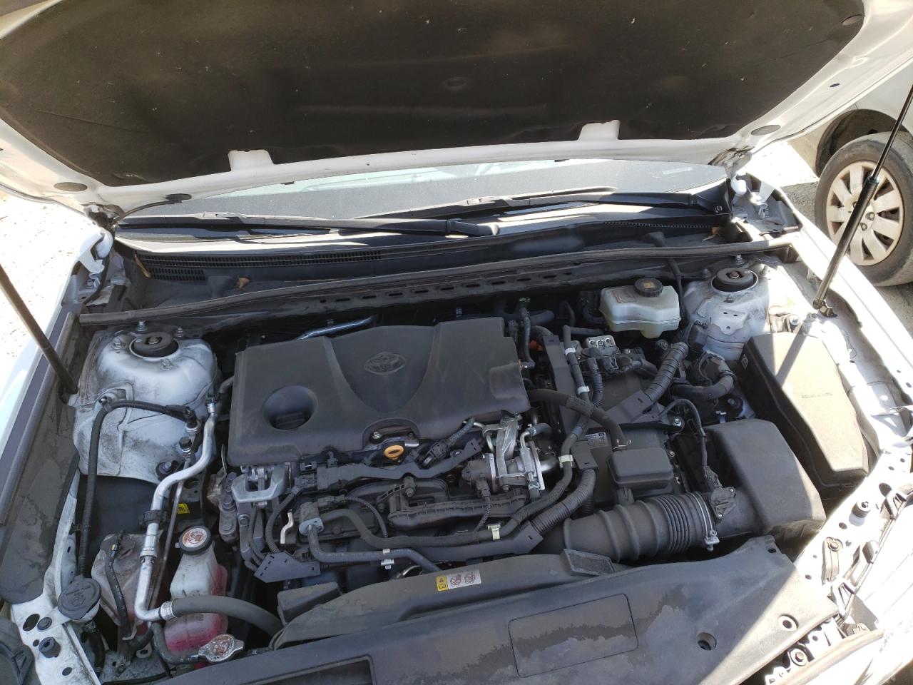 4T1F31AK4LU531556 2020 Toyota Camry Xle