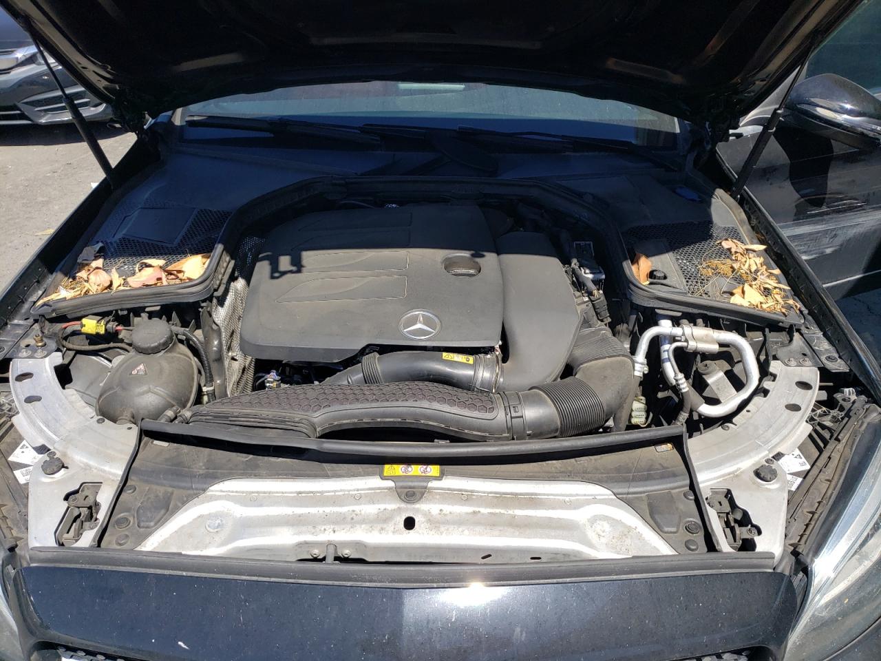 WDDWF8DB3KR513816 2019 Mercedes-Benz C 300