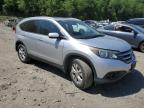 HONDA CR-V EXL photo