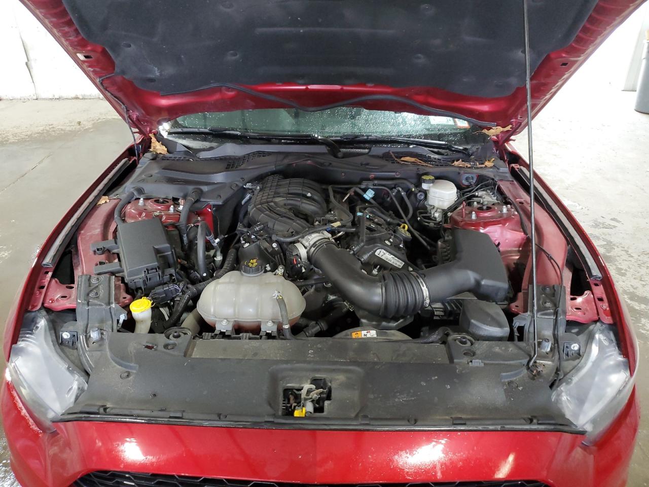 1FA6P8AM9H5238259 2017 Ford Mustang