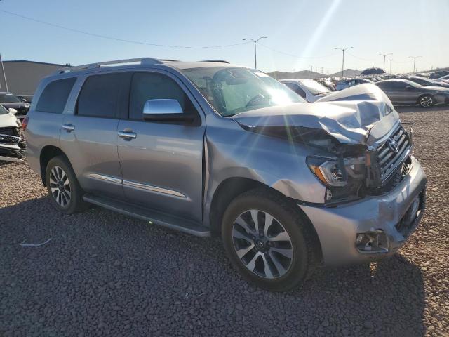 2019 TOYOTA SEQUOIA LI - 5TDJY5G18KS166520